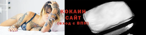 СК Алзамай