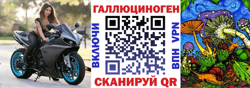 где купить наркоту  Сельцо  Псилоцибиновые грибы мухоморы 